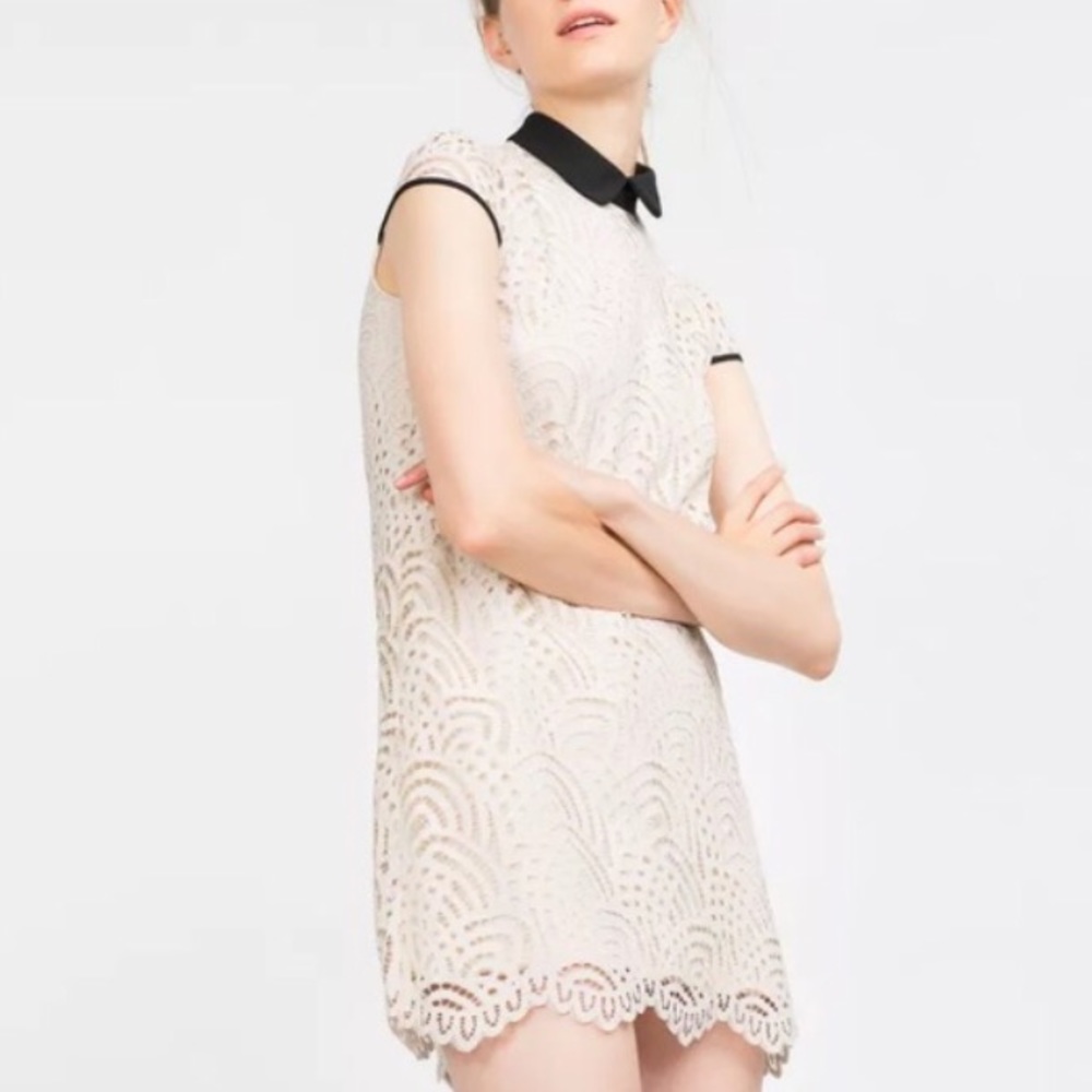 Zara Cream/Off White Lace Dress ✨NWT